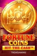 Fortune Coins slot más popular en MAYANBET COM